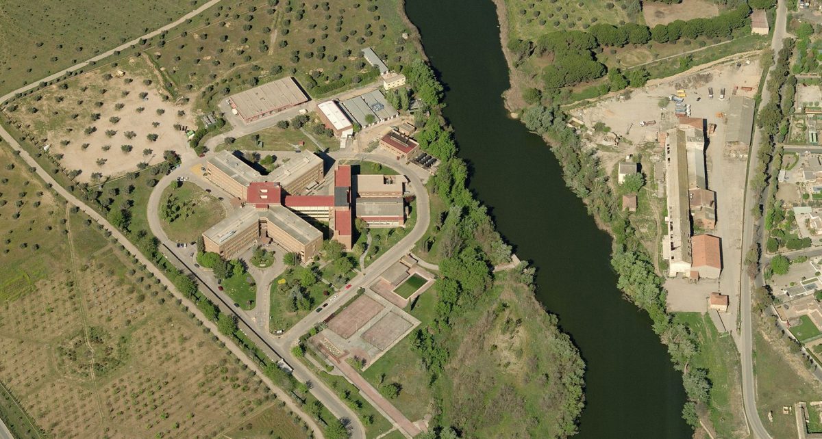 Monografico h paraplejicos 01