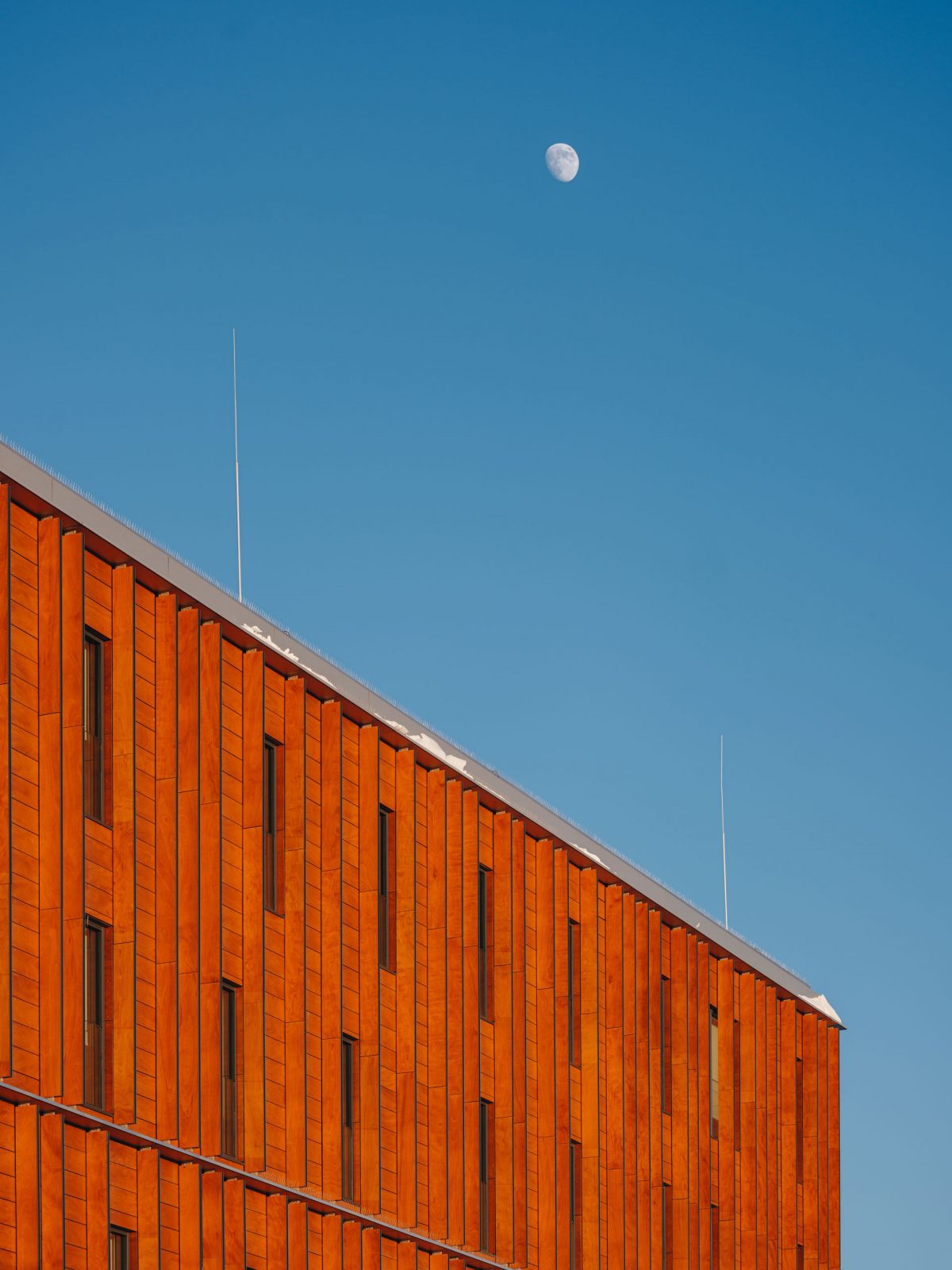 Tonutunnel tervikum ttun