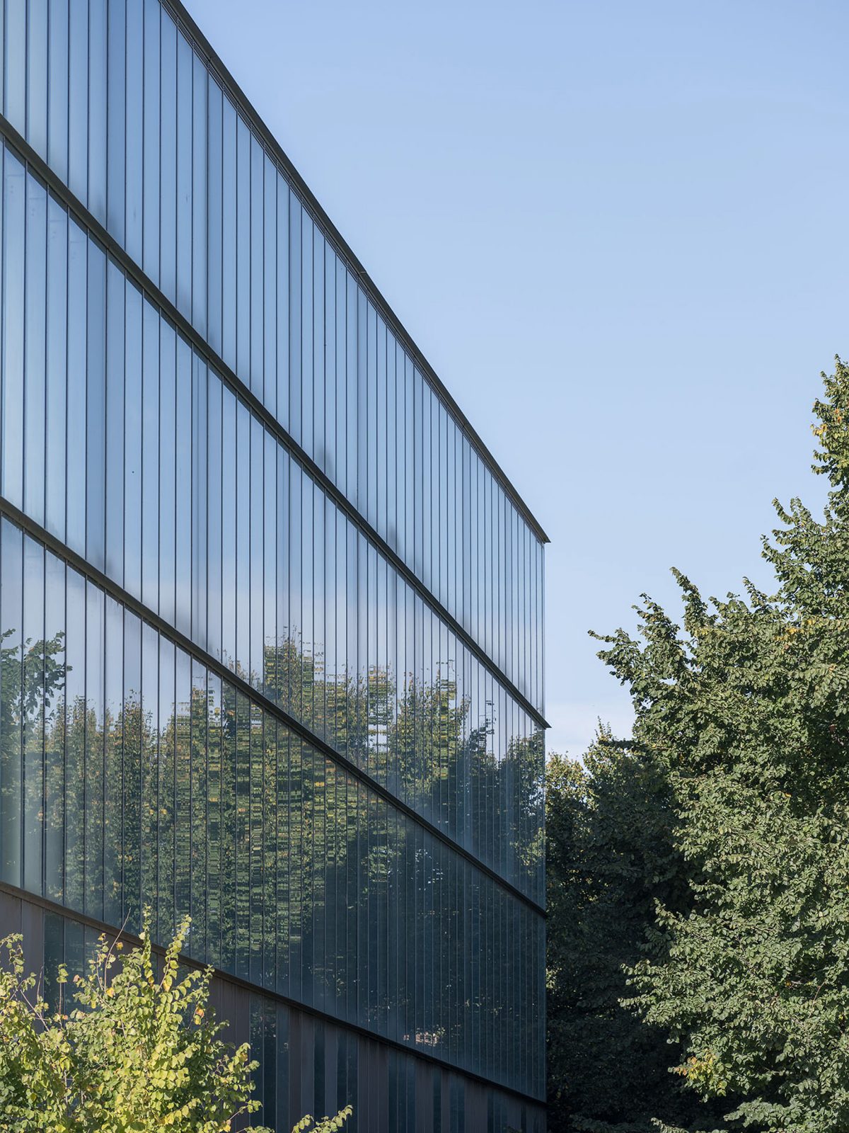 251112 h parapléjicos web05