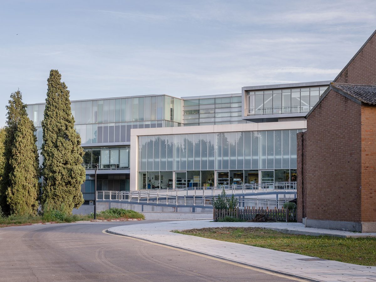 251112 h parapléjicos web06