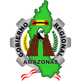 Gobierno Regional Amazonas